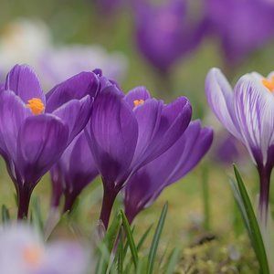 Meet your Posher, Lynda